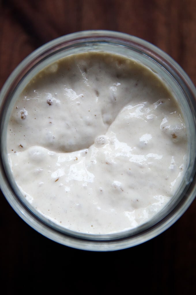 Sourdough Starter Maintenance: Keep It Alive & Thriving